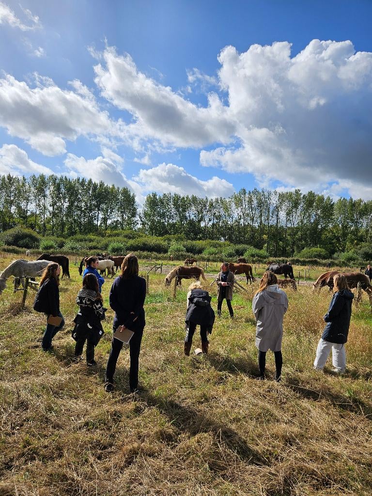 Kracht van de Kudde - One day Retreat, Ophalen, Nieuw