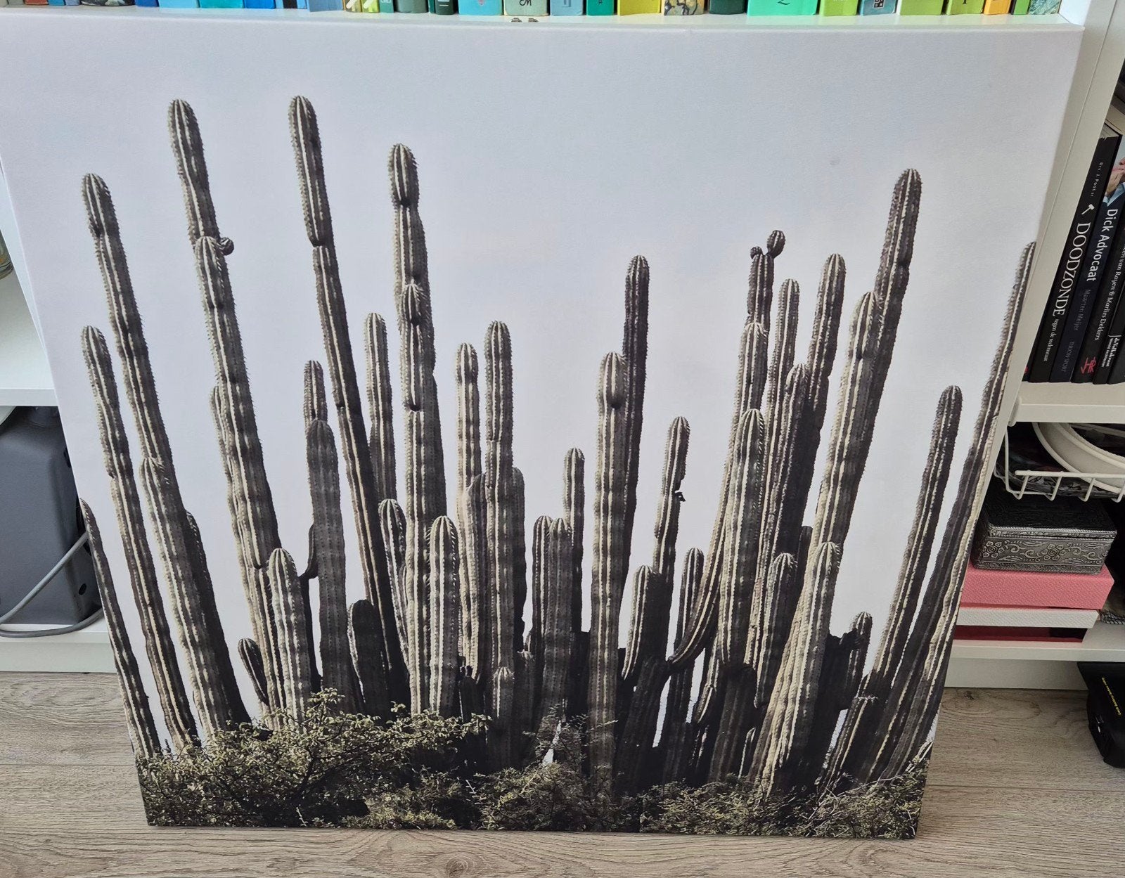 Cactus Canvas 75x75cm, Ophalen, Zo goed als nieuw, Schilderij, 75 tot 100 cm