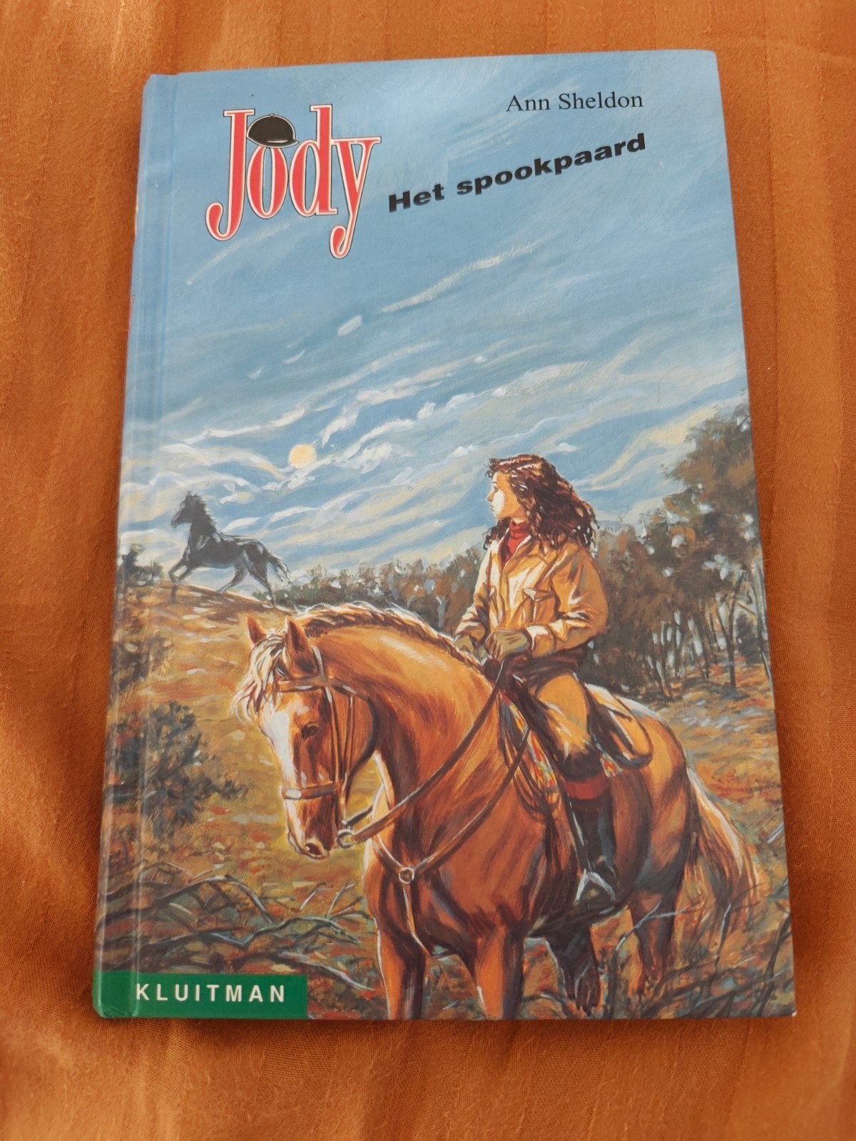 Jody Het Spookpaard - Ann Sheldon (Harde Kaft), Boeken, Ophalen of Verzenden, Gelezen, Ann sheldon, Fictie algemeen