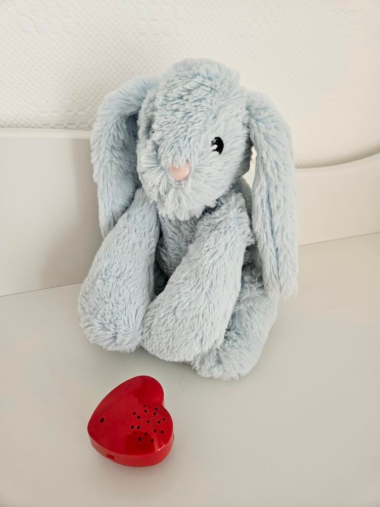 Beeztees heartbeat knuffel konijn voor puppy, Ophalen of Verzenden, Nieuw