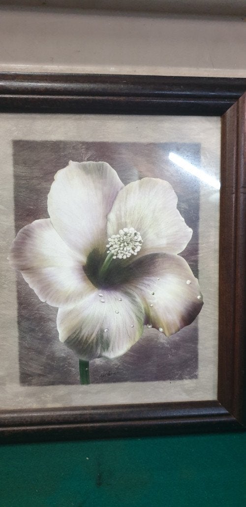 schilderij prenten bloemen, Ophalen of Verzenden, 'T Olde Gre-j, Info@toldegrej.nl, Endepoelstraat 20f Didam