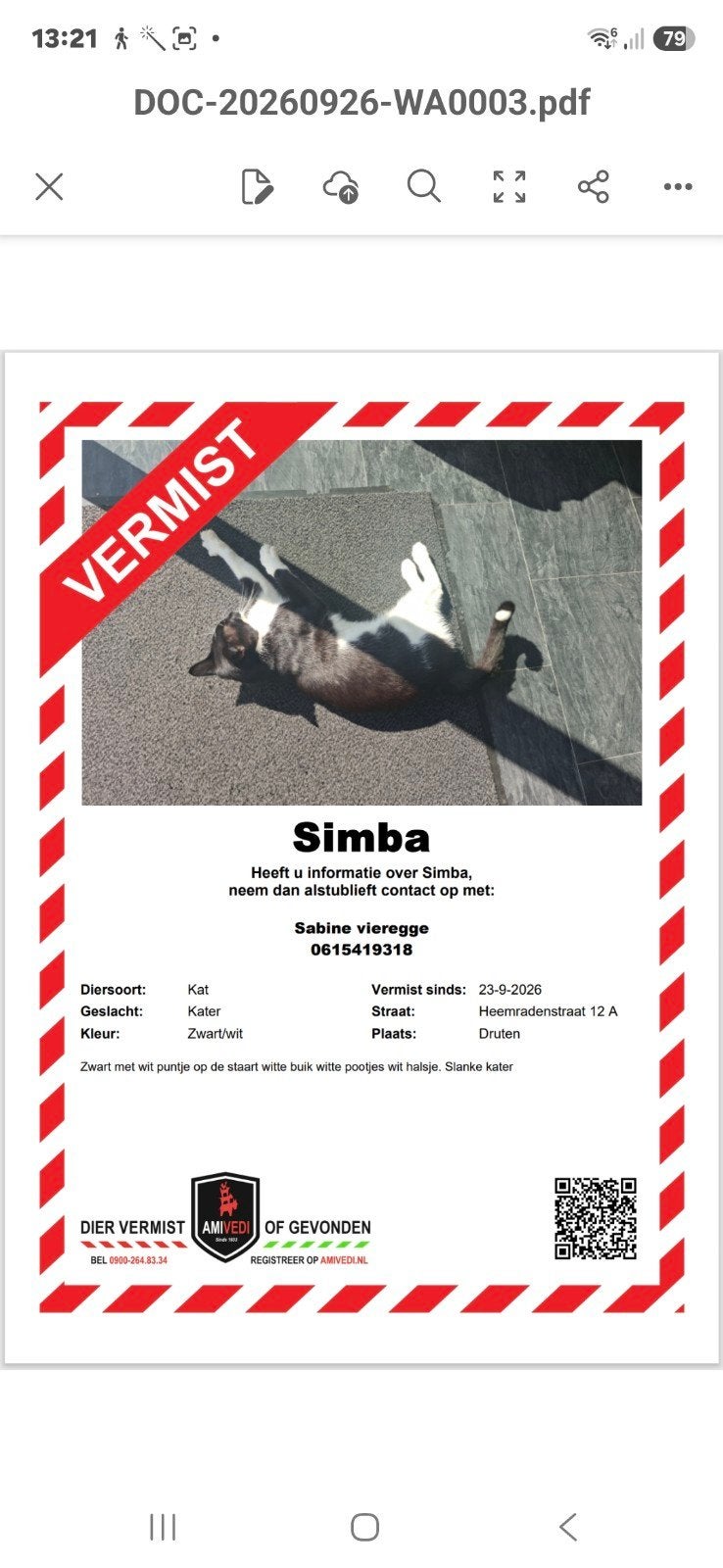 simba vermist, zwart wit, korthaar, Dieren en Toebehoren, Kat
