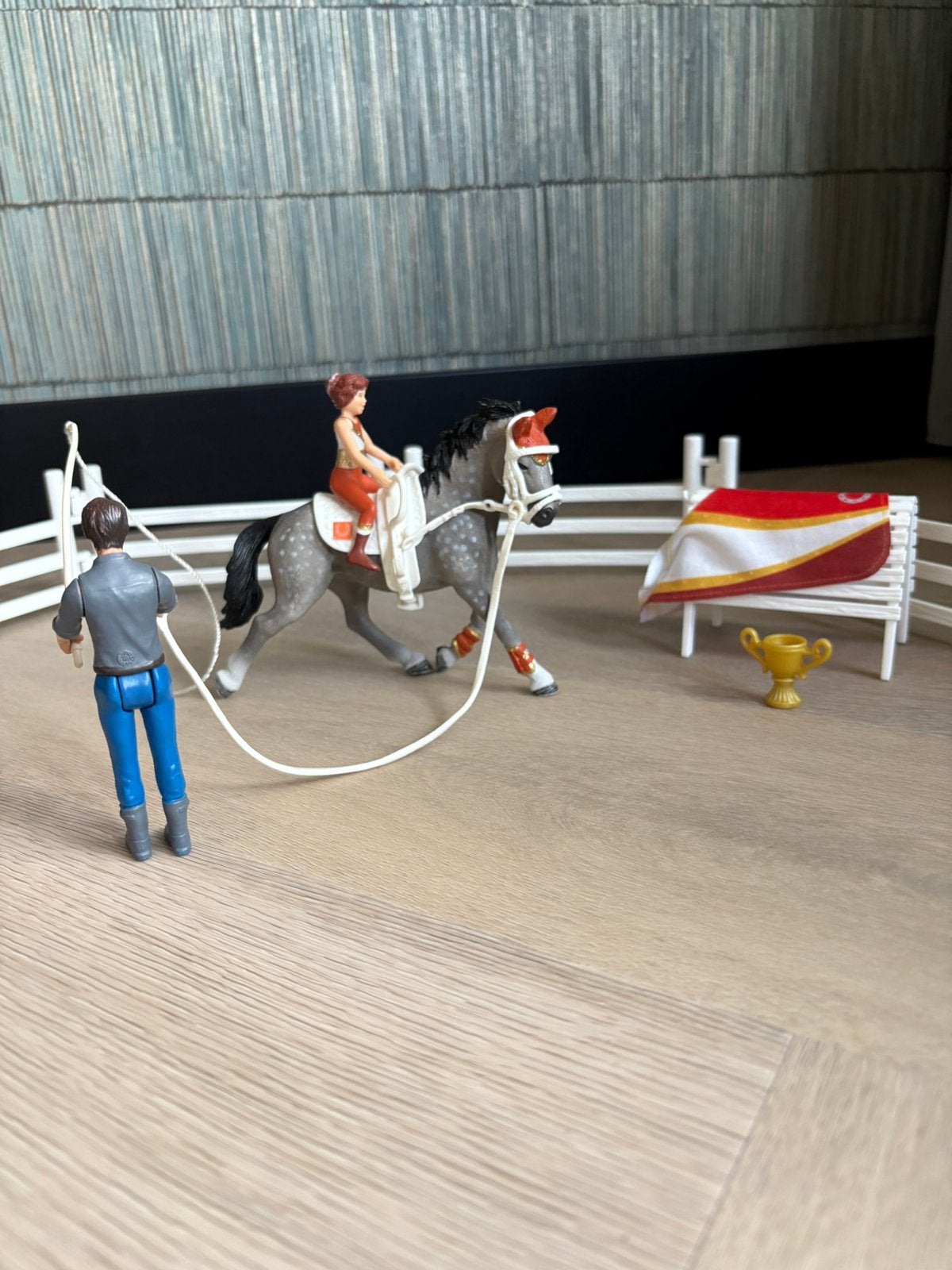Schleich paarden longeer set, Kinderen en Baby's, Speelgoed | Overig, Ophalen, Zo goed als nieuw, Jongen of Meisje