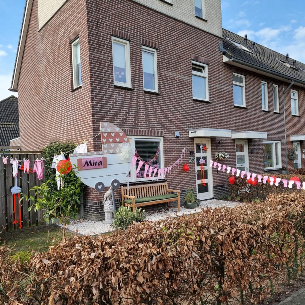 XXL GEBOORTEBORD MEISJE | KINDERWAGEN OOIENVAAR DESIGN HOUT, Kinderen en Baby's, Kraamcadeaus en Geboorteborden, Ophalen of Verzenden