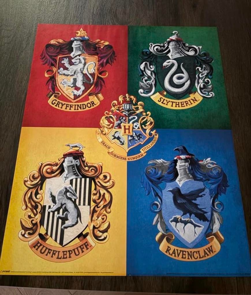 Harry Potter Zweinstein Huizen Poster - 40x50 cm, Verzamelen, Posters, Ophalen of Verzenden, A1 t/m A3, Film en Tv, Rechthoekig Staand