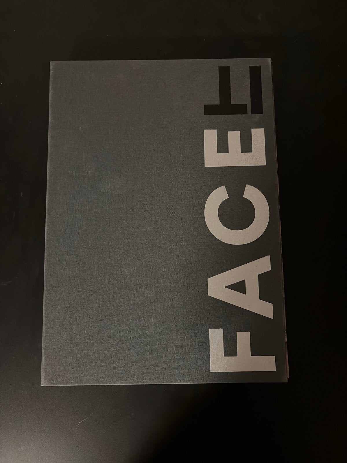 FACEIT - William Rutten - Gesigneerd en Genummerd, Ophalen, Zo goed als nieuw, Nederland
