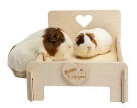 Houten bed voor cavia’s of konijnen NIEUW, Www.Karinasdierenwebshop.nl, Groningen, Overige typen, Nieuw