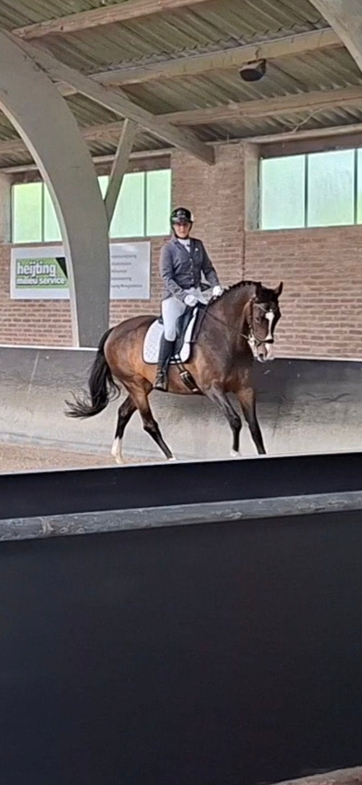 14 jarige dressuurgefokte merrie 1.71m, Dieren en Toebehoren, Paarden, Merrie, Met stamboom, Dressuurpaard, 170 tot 175 cm