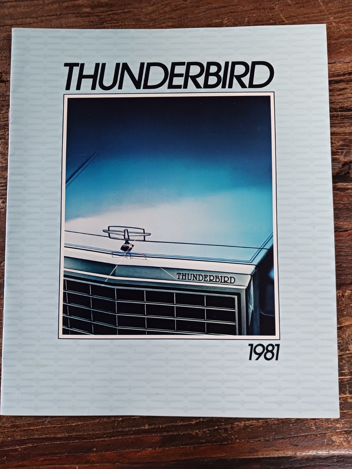 Ford Thunderbird folder 1981, Ophalen of Verzenden, Gelezen, Ford