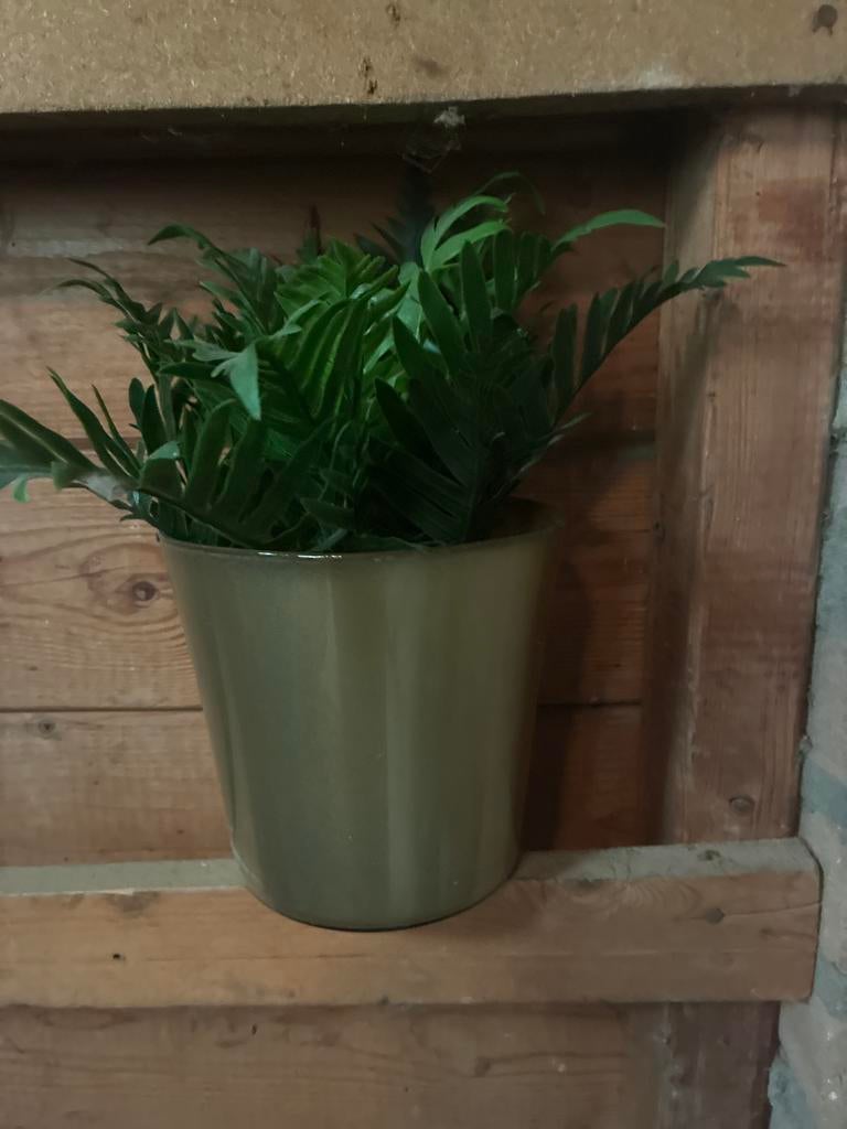 Kunstplant Varen in Pot - Groen, Ophalen, Binnen, Groen, Kunstplant