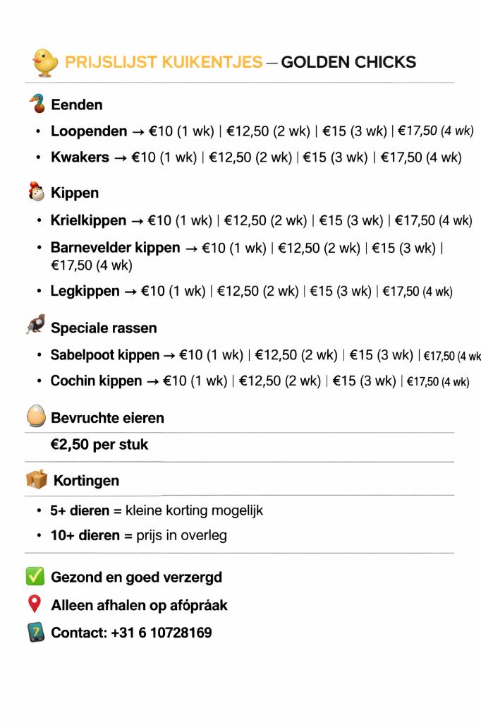 Kuikens, Meerdere dieren, Kip