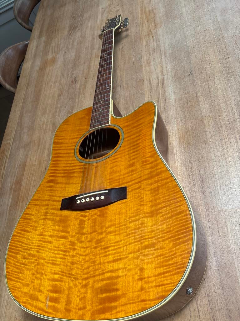 Alliance VP-07C-EQ Western gitaar, Muziek en Instrumenten, Ophalen, Gebruikt, Western- of Steelstringgitaar, Met (piezo-)element