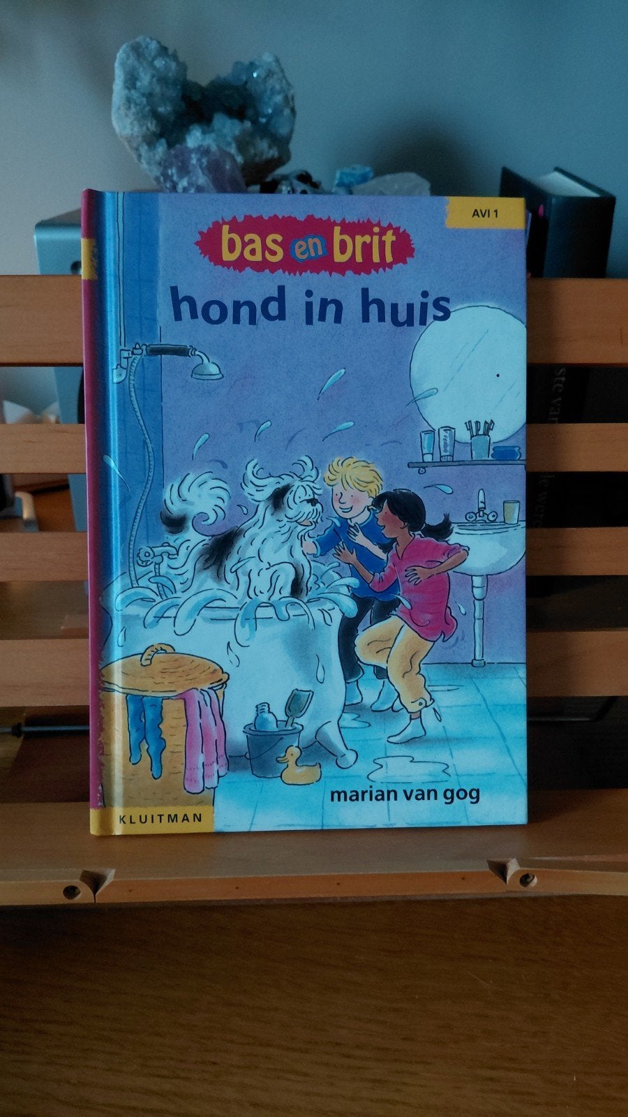 Bas en Brit: Hond in Huis - AVI 1 kinderboek, Ophalen of Verzenden, Zo goed als nieuw, Marian van Gog, Fictie algemeen