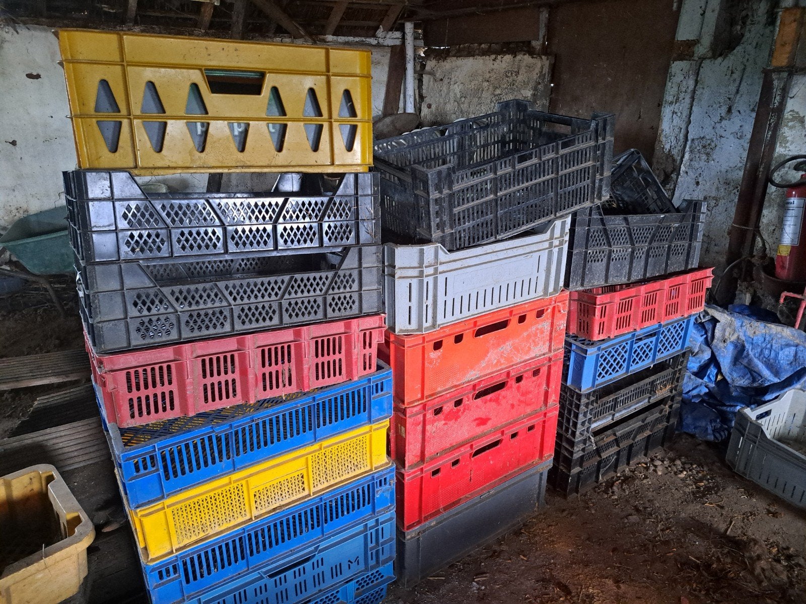 Diverse gebruikte plastic kratten, Ophalen of Verzenden, Gebruikt, Krat