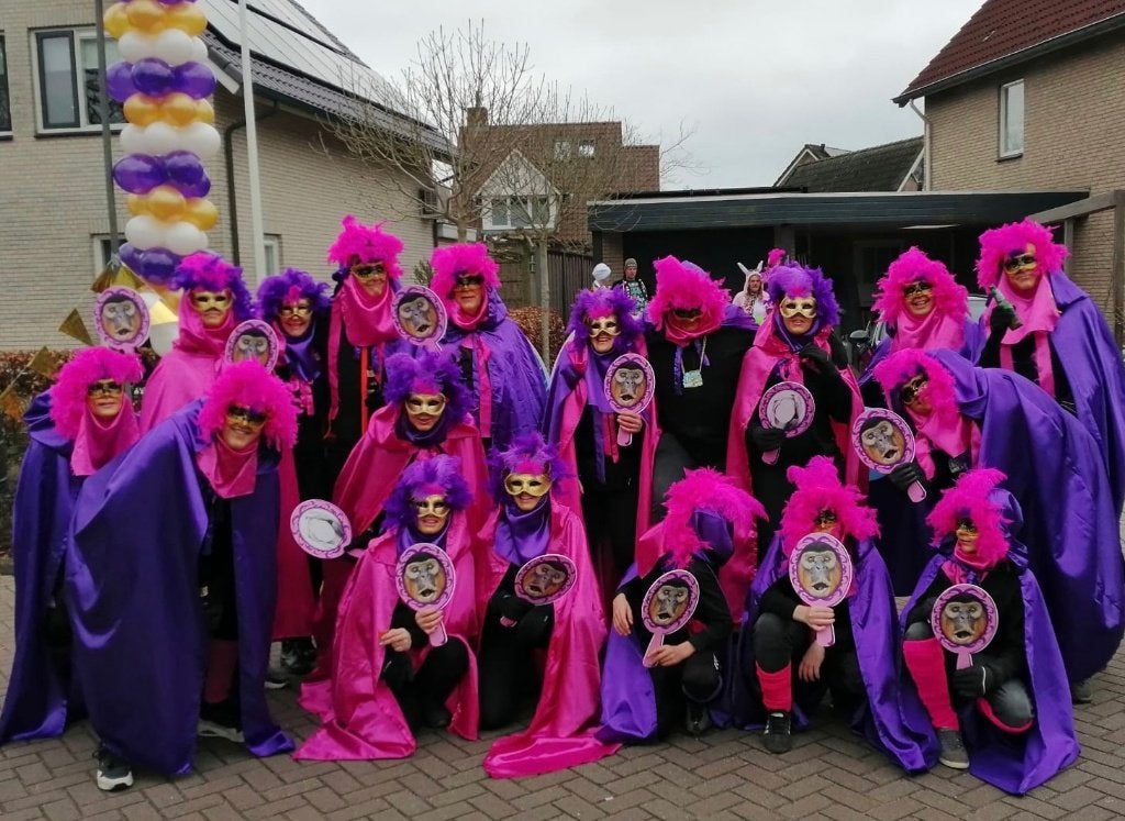 Grote loopgroep, thema gemaskerd bal. (80 personen), Kleding | Dames, Carnavalskleding en Feestkleding, Maat 38/40 (M), Carnaval