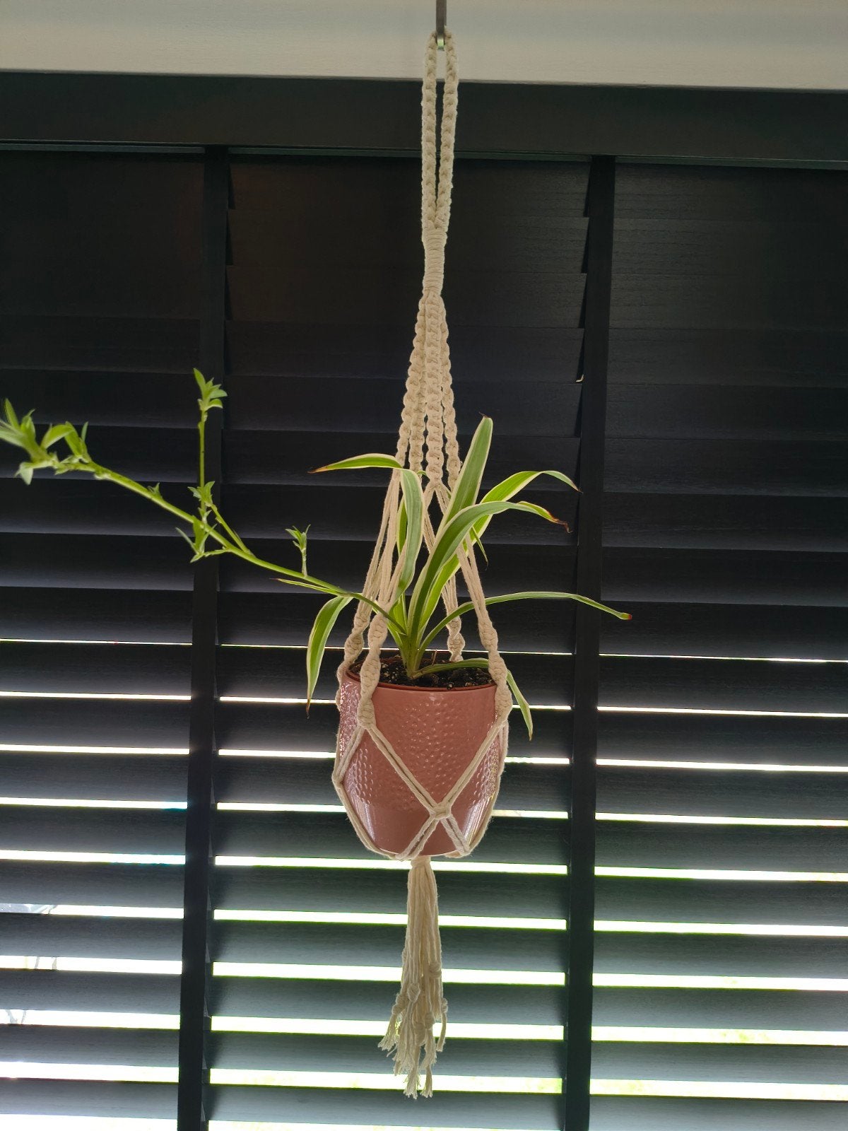 Macrame plantenhanger (exclusief haak en plant), Boho, Nieuw, Ophalen of Verzenden, Wit