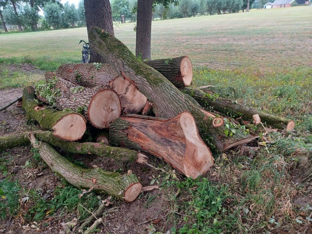 Brandhout eiken, Tuin en Terras, Haardhout, Minder dan 3 m³, Ophalen, Eikenhout, Stammen