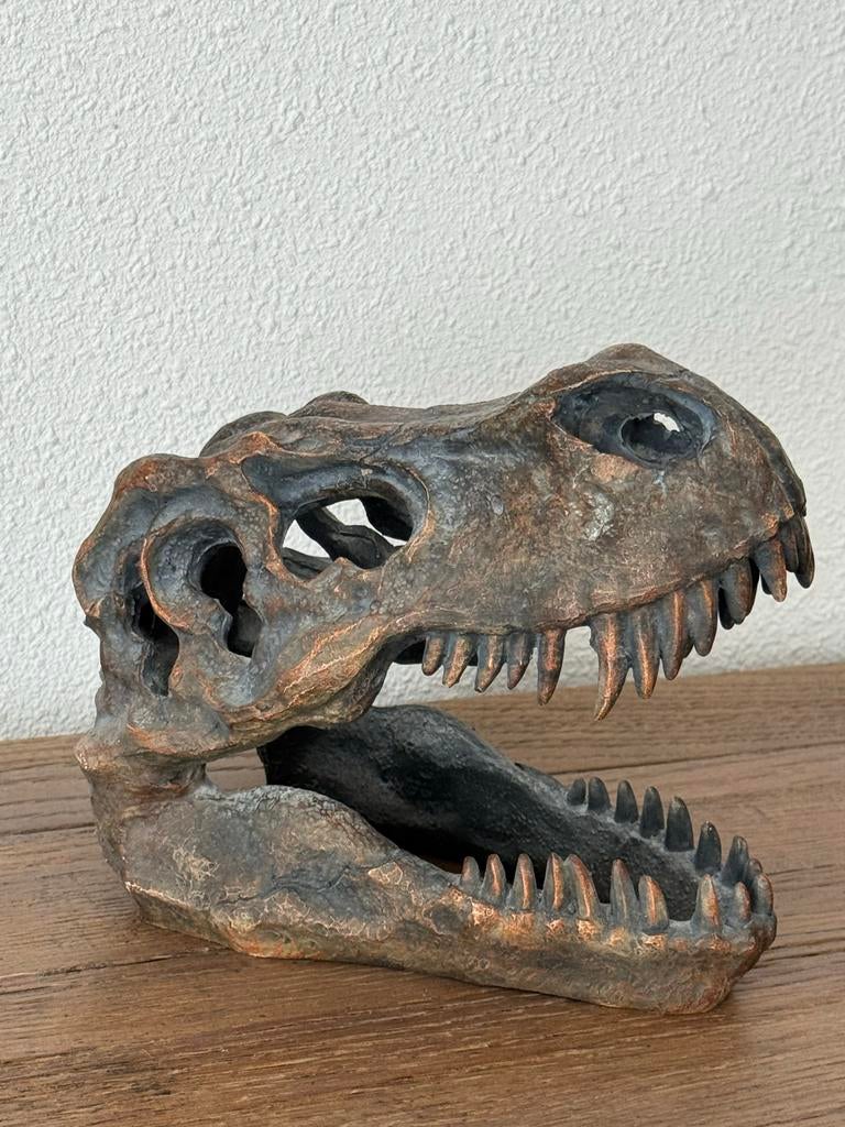 Dinosaurus schedel skelet decoratie dino, Verzamelen, Ophalen of Verzenden, Zo goed als nieuw