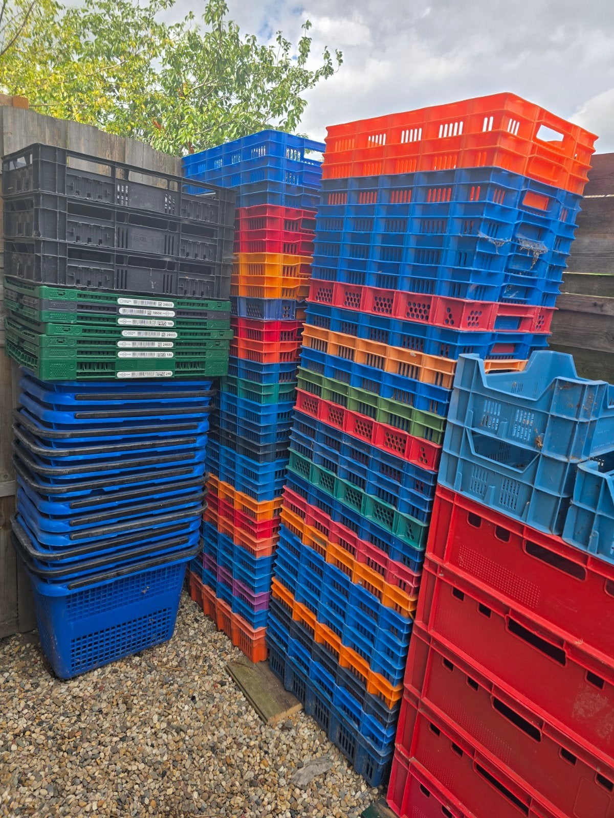Diverse kratten en bakken - ideaal voor opslag/transport, Gebruikt, 40 tot 60 cm, 50 tot 75 cm, Ophalen of Verzenden