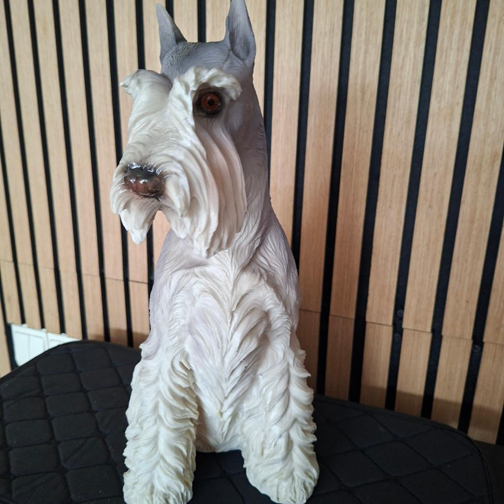 Zittende schnauzer 36 cm hoog, Ophalen, Nieuw, Dier