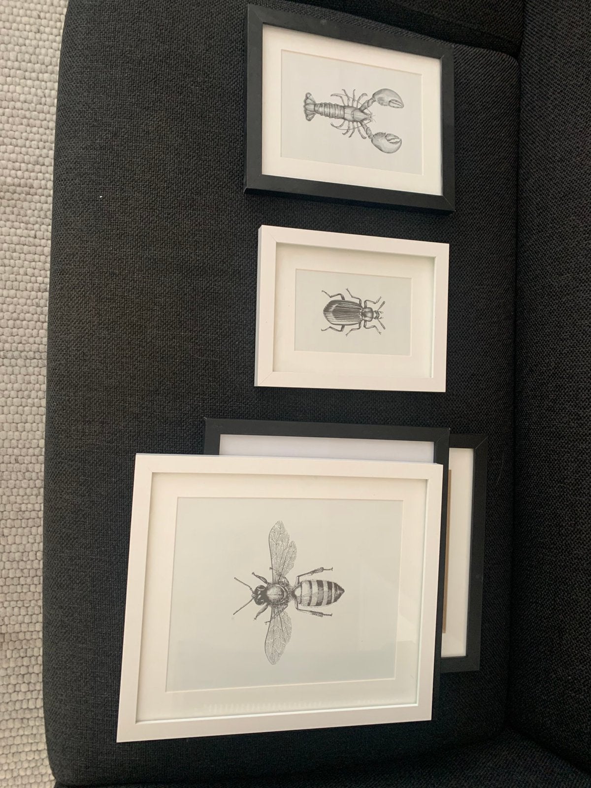 Fotolijsten xenos met passe partout, Ophalen of Verzenden, Zo goed als nieuw