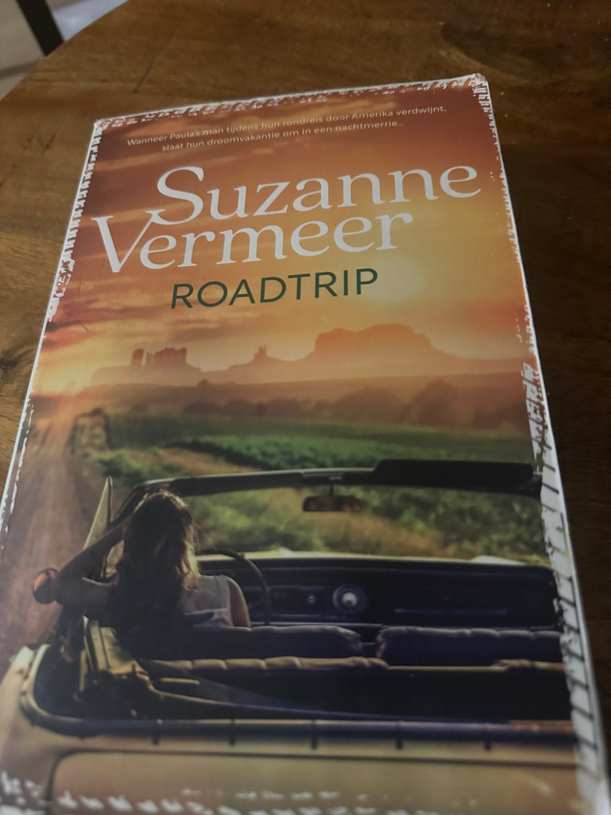 Roadtrip van Suzanne Vermeer, Ophalen of Verzenden, Zo goed als nieuw