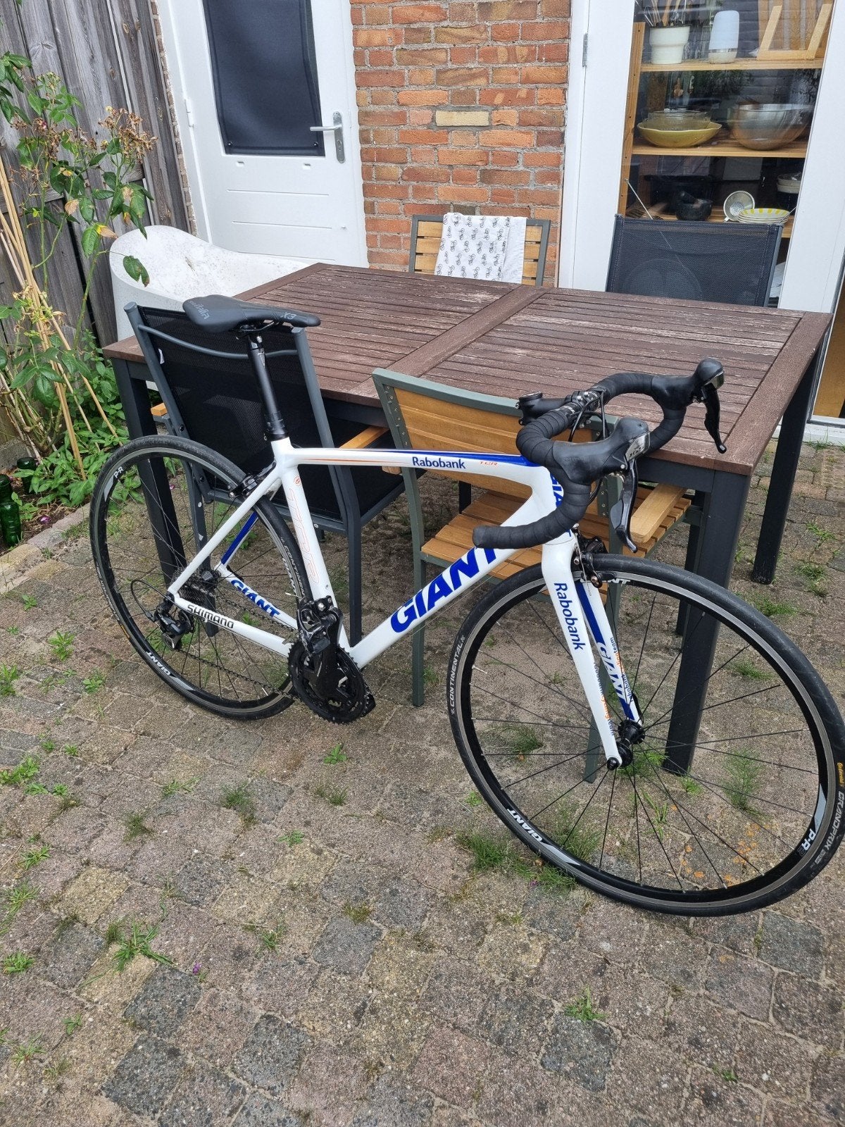 Giant TCR Raboteam fiets, Ophalen, Gebruikt, Velgrem, Aluminium