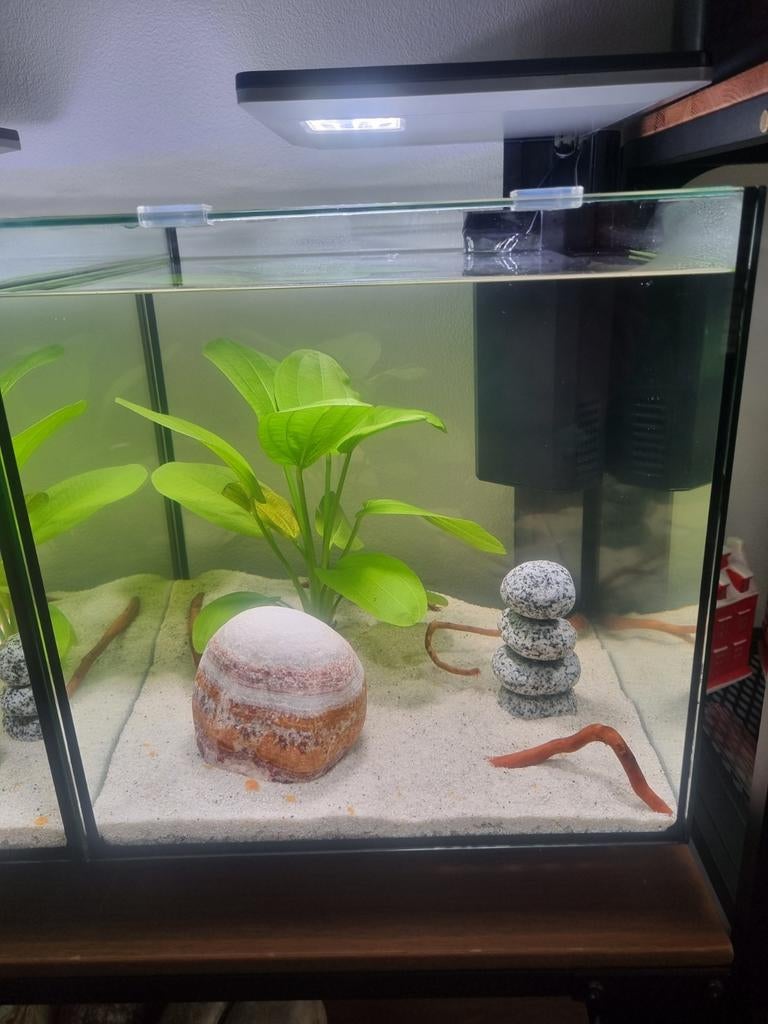 Qubiq 30 Pro aquarium, Ophalen, Verwarming, Zo goed als nieuw, Leeg aquarium