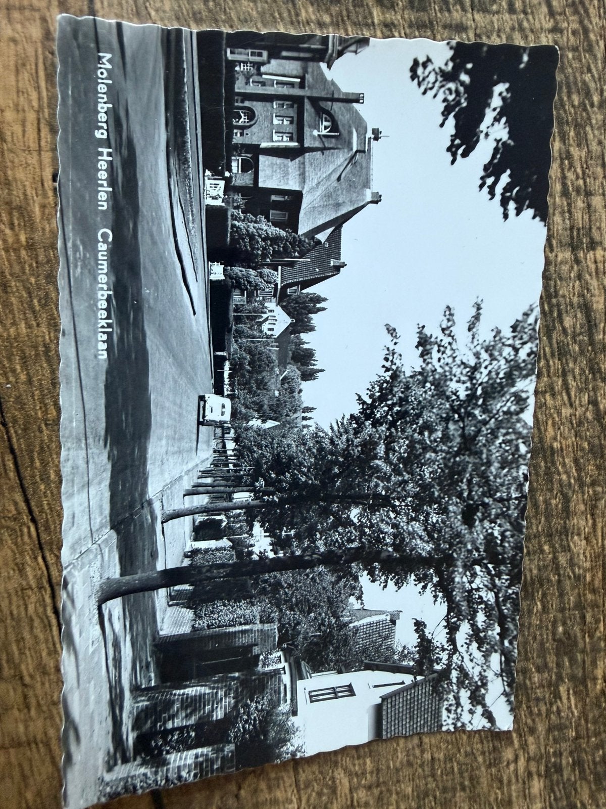 Caumerbeeklaan. Molenberg Heerlen, Ophalen of Verzenden, 1940 tot 1960, Ongelopen, Limburg