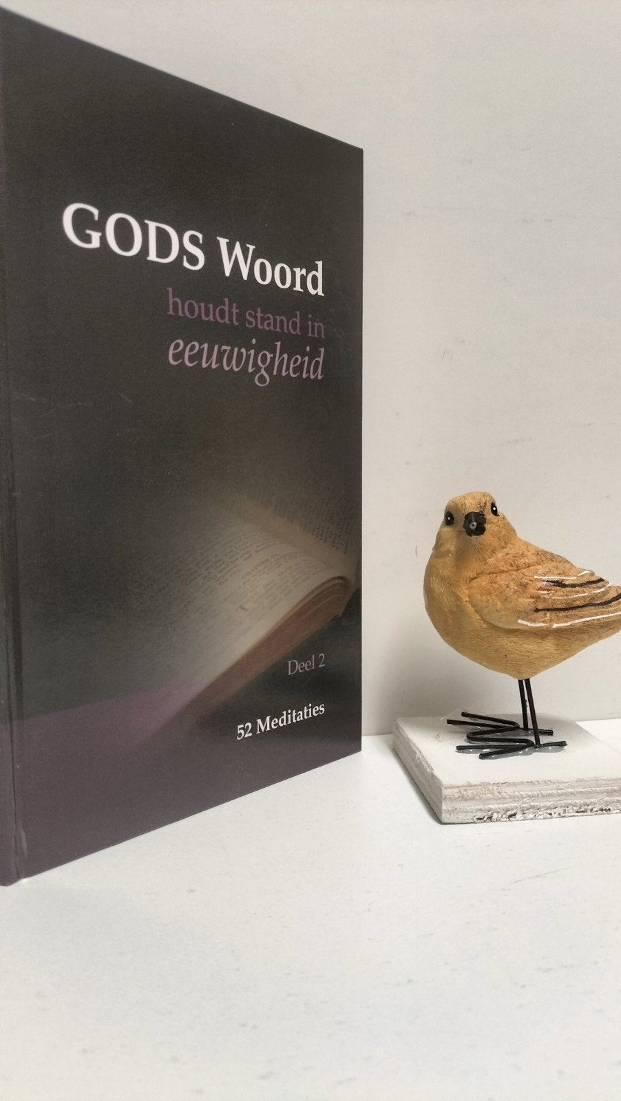 Diverse Predikanten:  Gods Woord houdt stand... deel 2, Ophalen of Verzenden, Gelezen, Christendom | Protestants