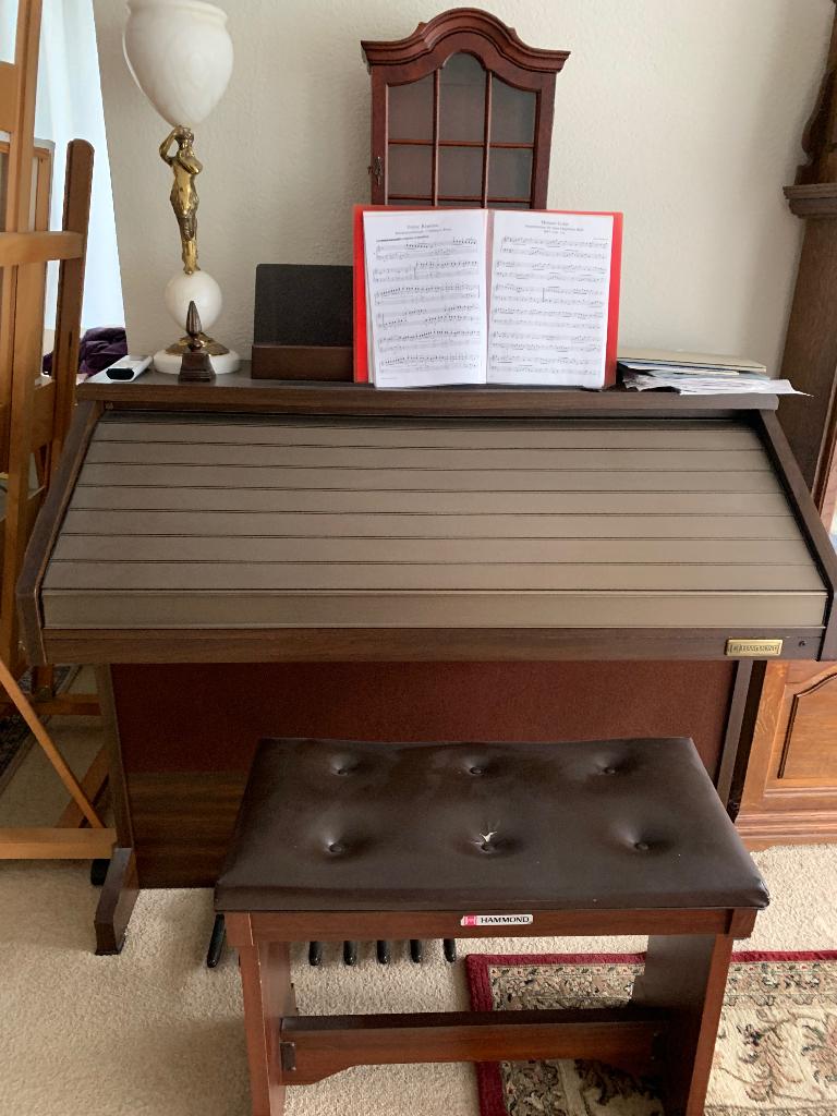 Hammond orgel, Muziek en Instrumenten, Orgels, Ophalen, Gebruikt, 2 klavieren, Hammondorgel