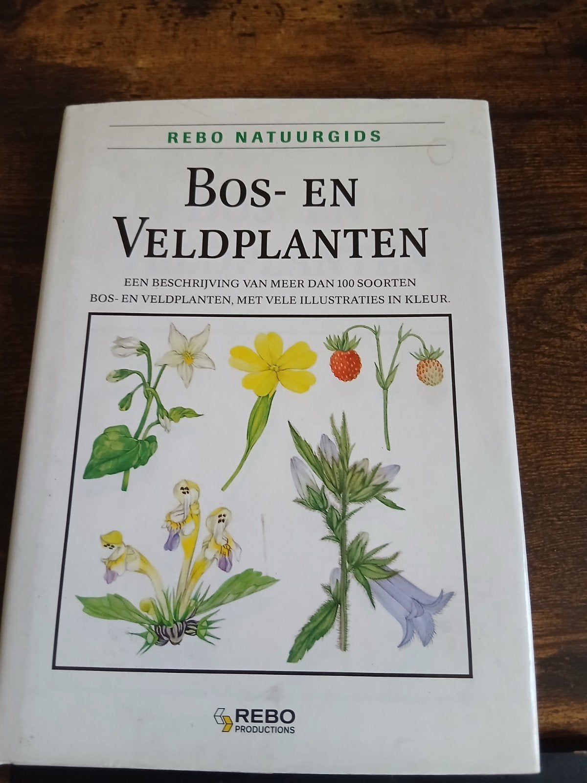 Rebo Natuurgids: Bos- en Veldplanten, Boeken, Onbekend, Bloemen, Planten en Bomen, Ophalen of Verzenden, Zo goed als nieuw