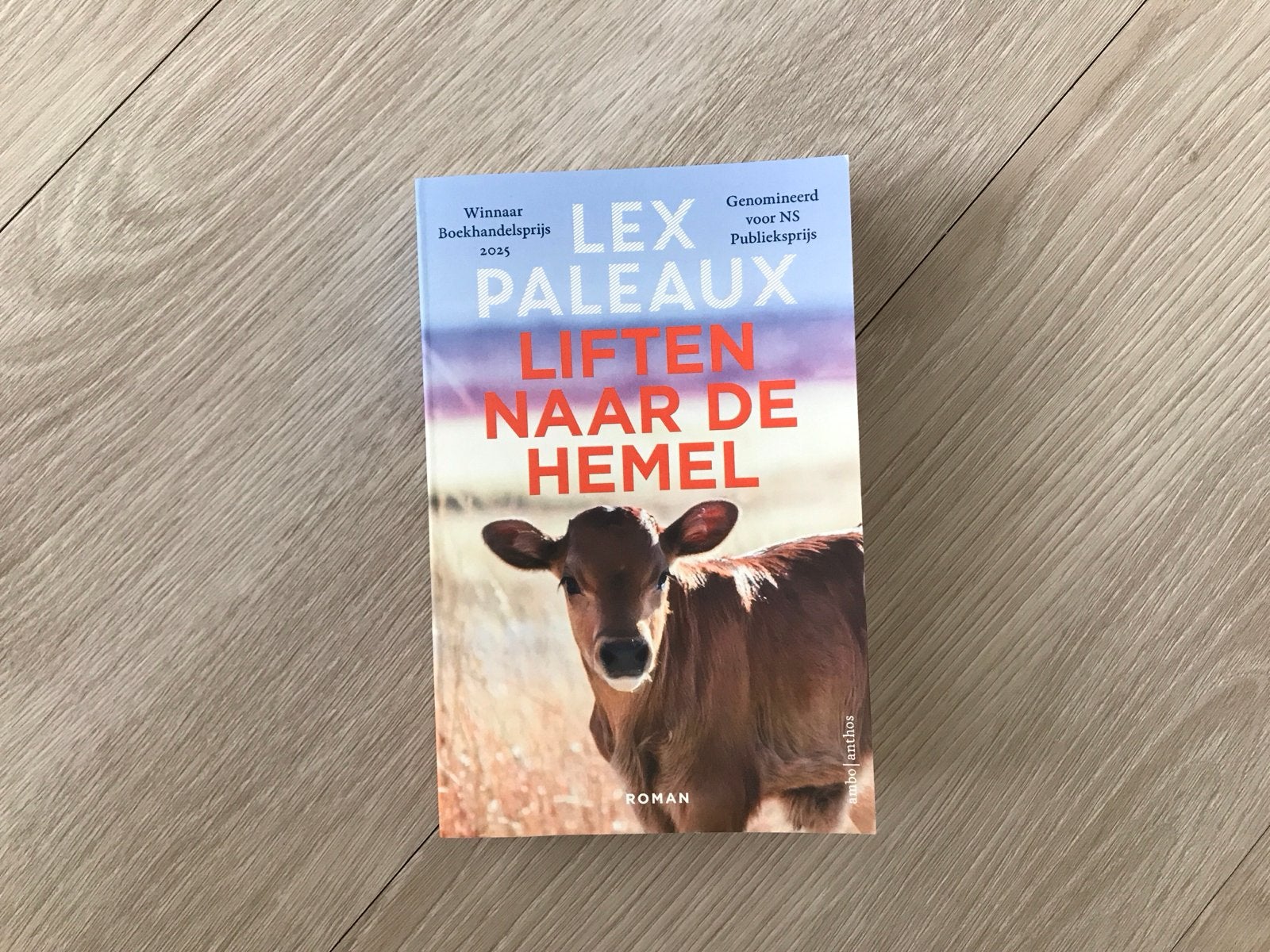 Lex Paleaux - Liften naar de hemel (Roman) paperback, Ophalen of Verzenden, Zo goed als nieuw, Nederland