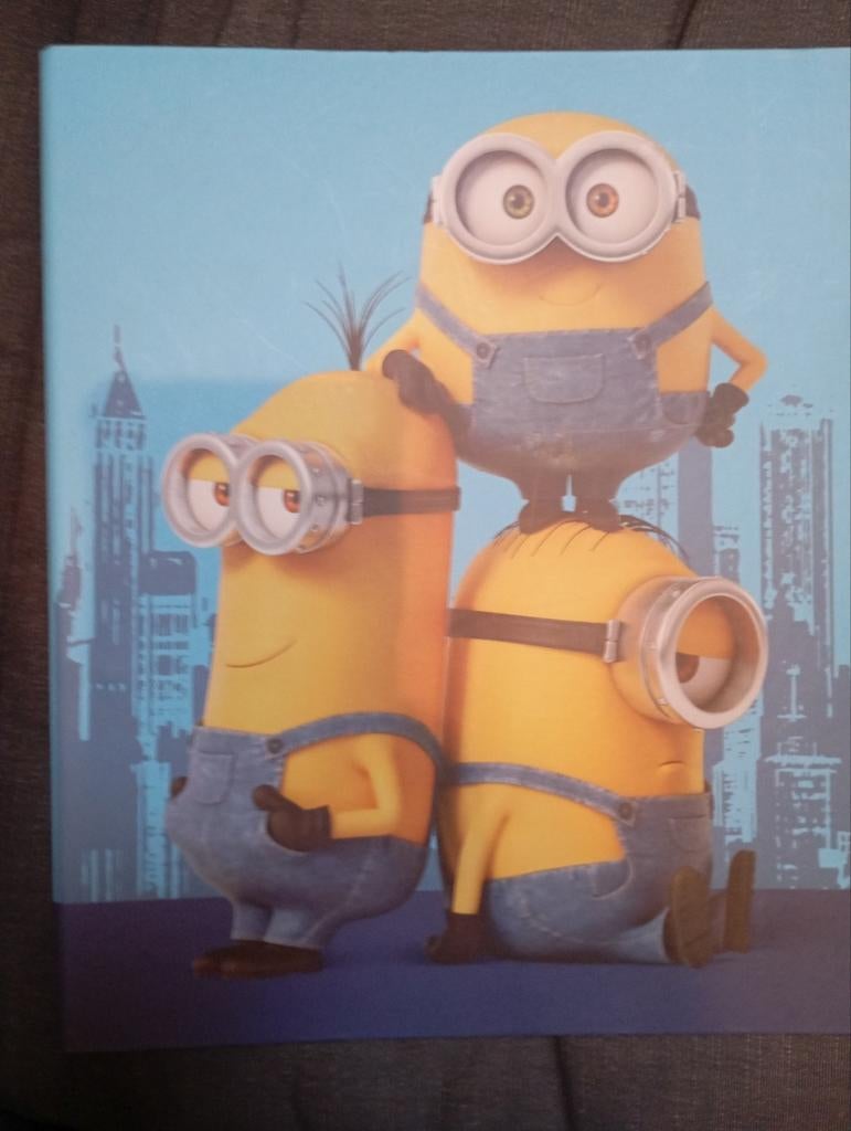 Minions diversen, Ophalen of Verzenden
