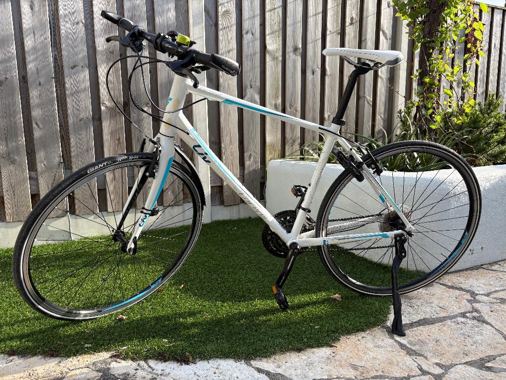 Fiets Giant Liv Thrive 2, hele goede staat! (ong. 170-180cm), Gebruikt, 50 tot 53 cm, Schijfrem, Ophalen