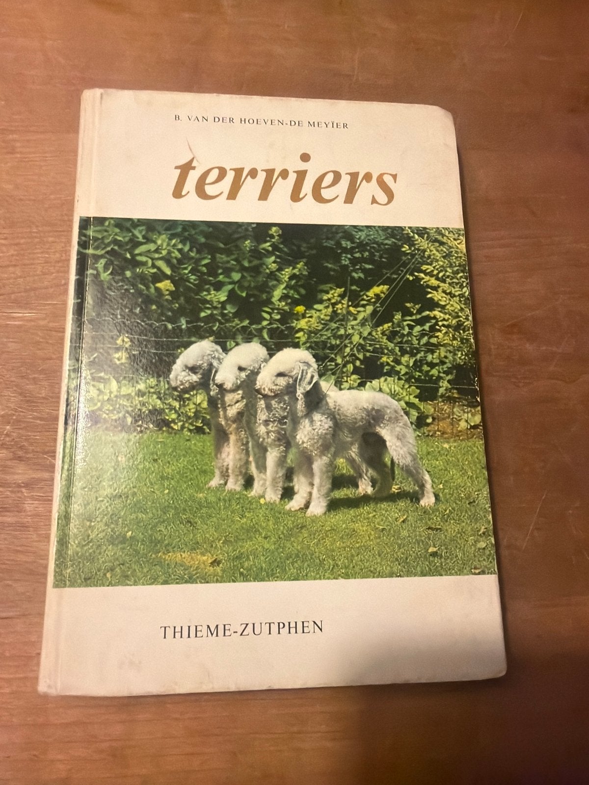 Terriers - B. van der Hoeven-de Meyier (Hondenboek), Ophalen of Verzenden, Gelezen, Honden