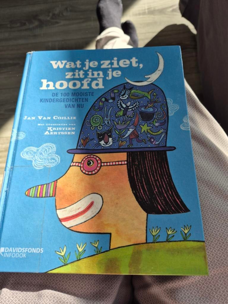Wat je ziet, zit in je hoofd - 100 mooiste kindergedichten, Ophalen of Verzenden, Zo goed als nieuw, Jan Van Coillie, Kristien Aertssen