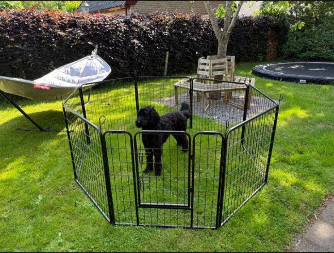 Puppyren te Huur! Voor maar €5!, Ophalen, Zo goed als nieuw, 110 cm of meer