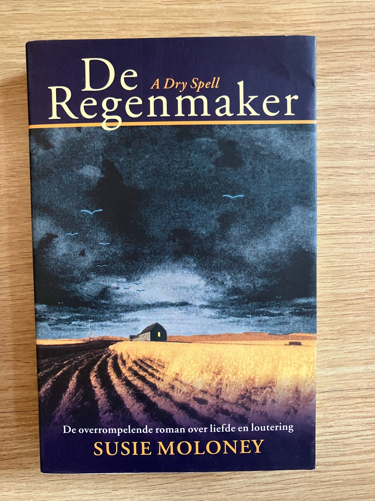 De Regenmaker - Susie Moloney (roman), Boeken, Ophalen of Verzenden, Zo goed als nieuw, Susie Moloney, Nederland
