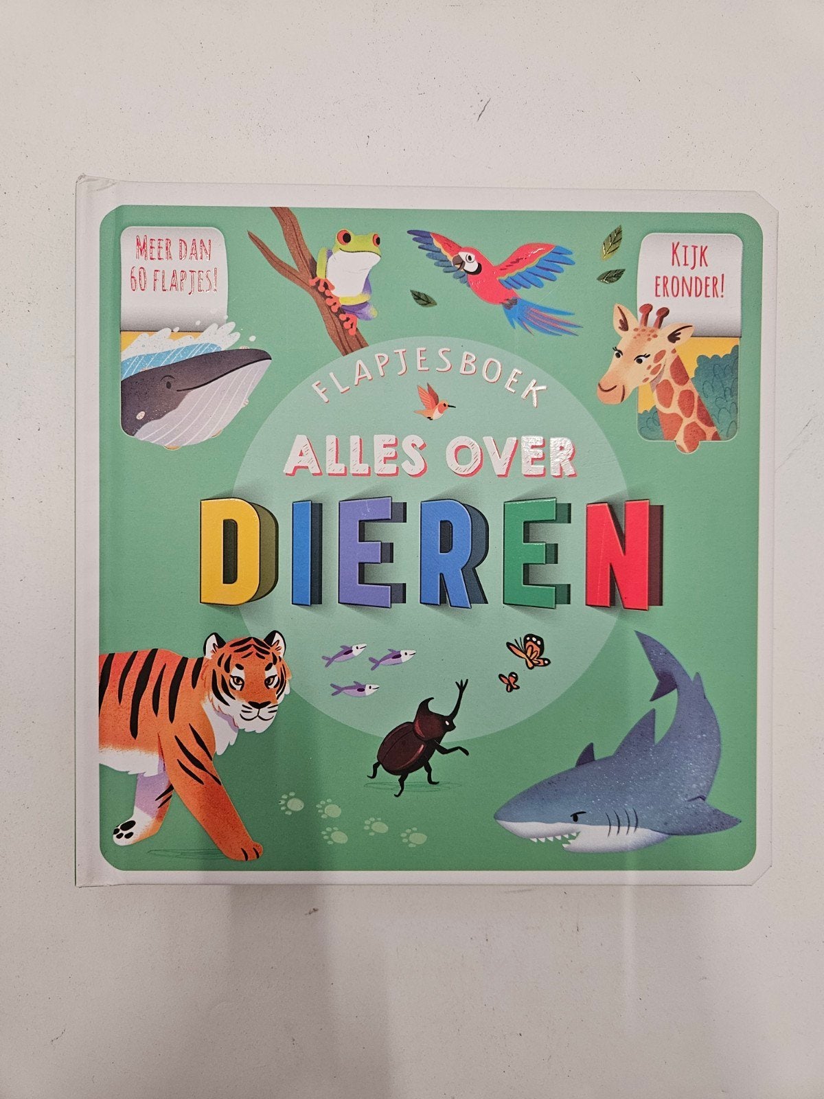 Helen Catt - Flapjesboek Alles over dieren, Ophalen of Verzenden, Zo goed als nieuw, Helen Catt