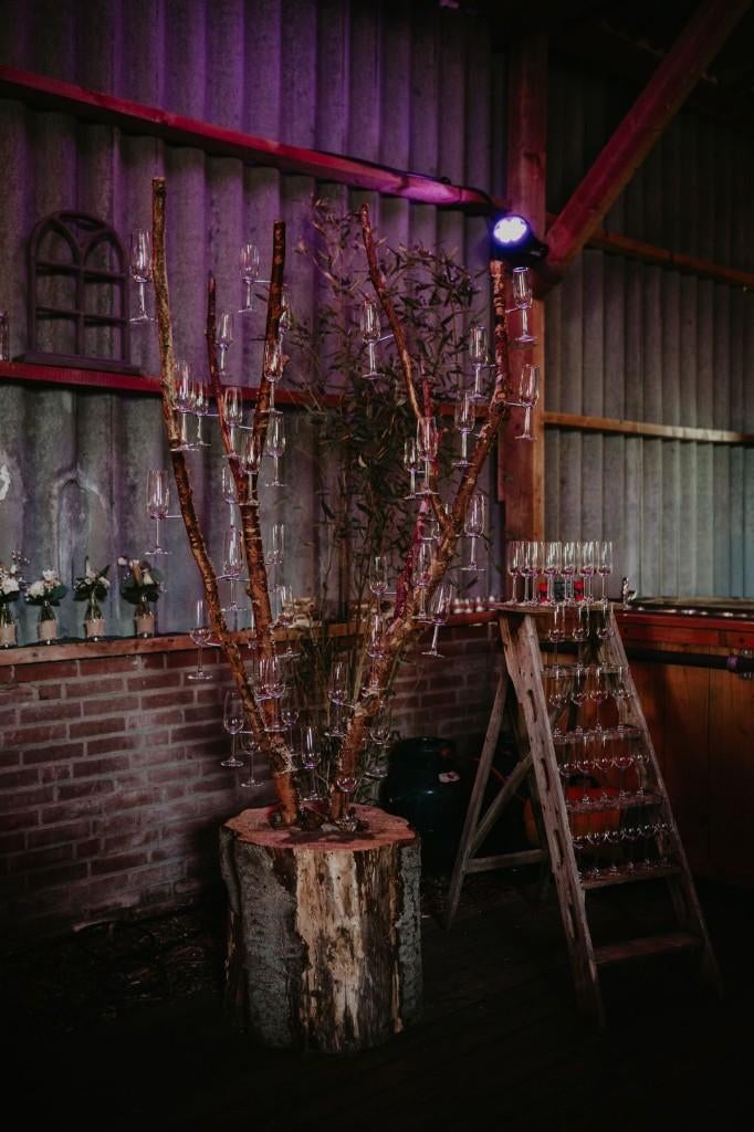 Champagneboom, bruiloft, Ophalen, Nieuw, Geboorte of Huwelijk