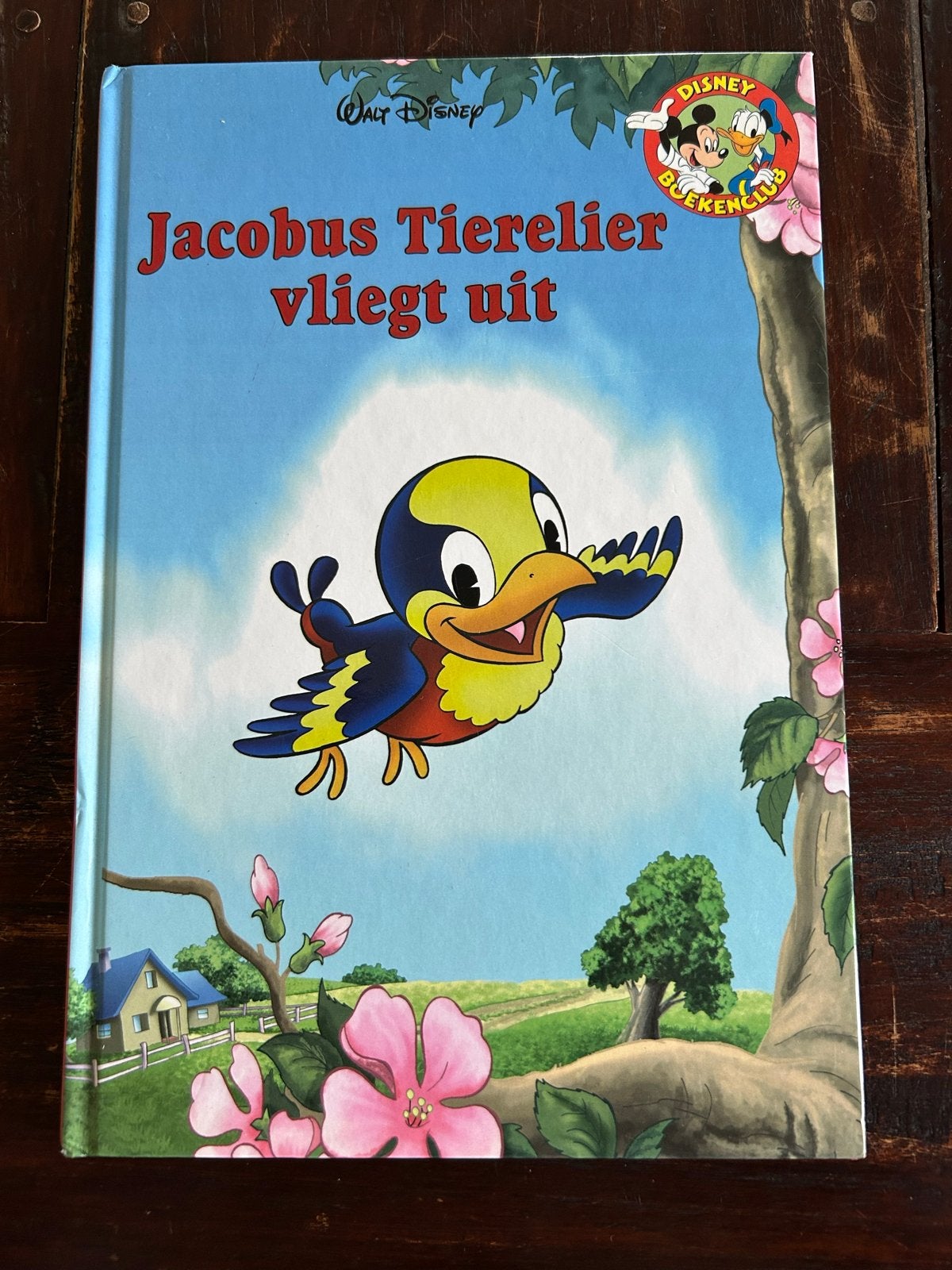 Gratis af te halen Disneyboek: Jacobus Tierelier vliegt uit, Boeken, Ophalen, Gelezen, Fictie algemeen