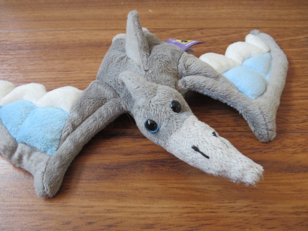 Kleine dino (D), Kinderen en Baby's, Ophalen of Verzenden, Gebruikt, Grijs, Overige typen