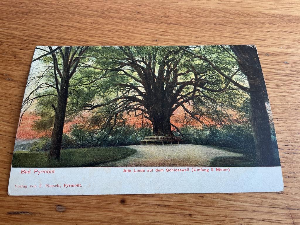 4 Duitsland Bad Pyrmont zeer grote boom, Ophalen of Verzenden, Duitsland