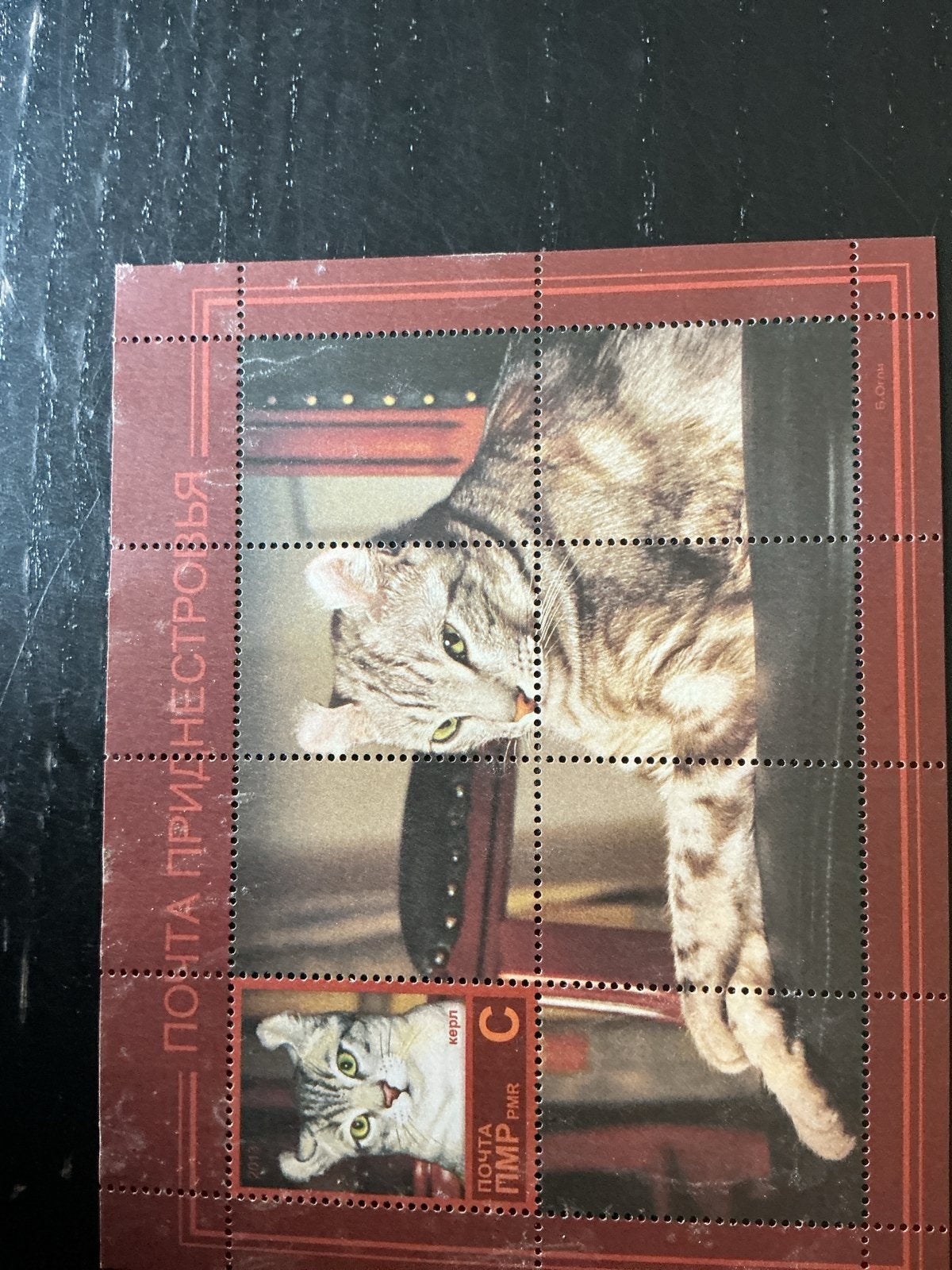 Postzegelvel Transnistrië Katten, Postzegels en Munten, Ophalen of Verzenden, Postfris