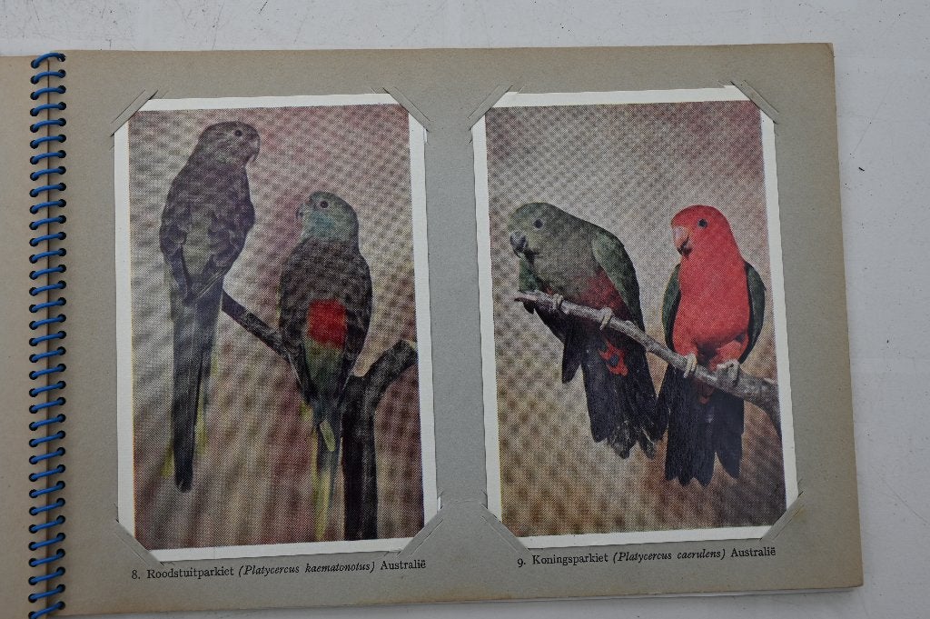 Vogelpracht in Avifauna plaatjes album Taminiau's deel 2 + 3, Ophalen of Verzenden, Gelezen, Vogels