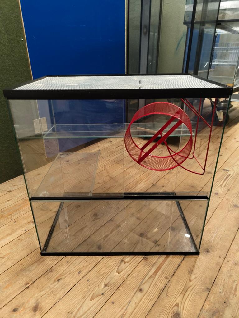 Gratis terraria af te halen, zie omschrijving., Ophalen, Gebruikt, Terrarium of Paludarium