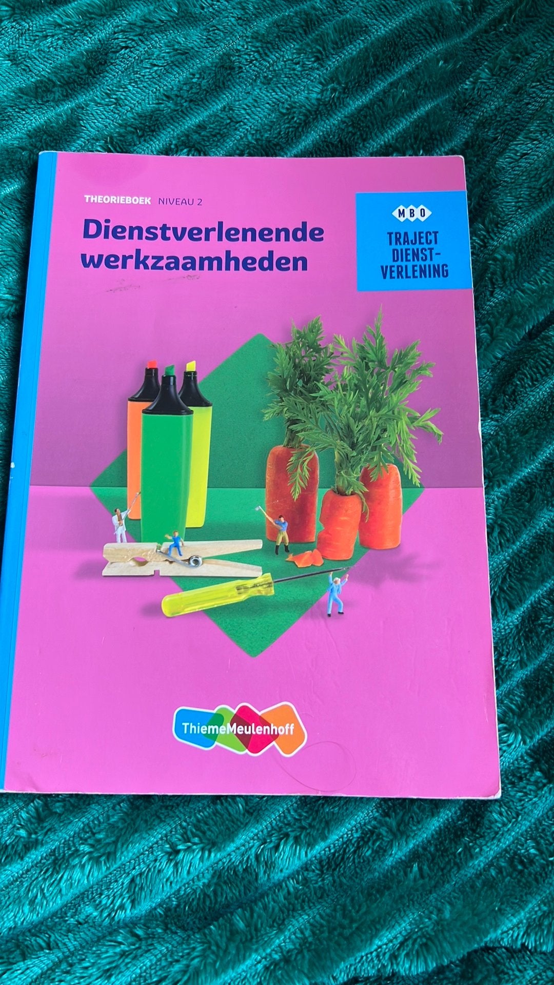 Theorie boek niveau 2 dienstverlenende werkzaamheden, Ophalen of Verzenden, Zo goed als nieuw, Overige niveaus, Nederlands