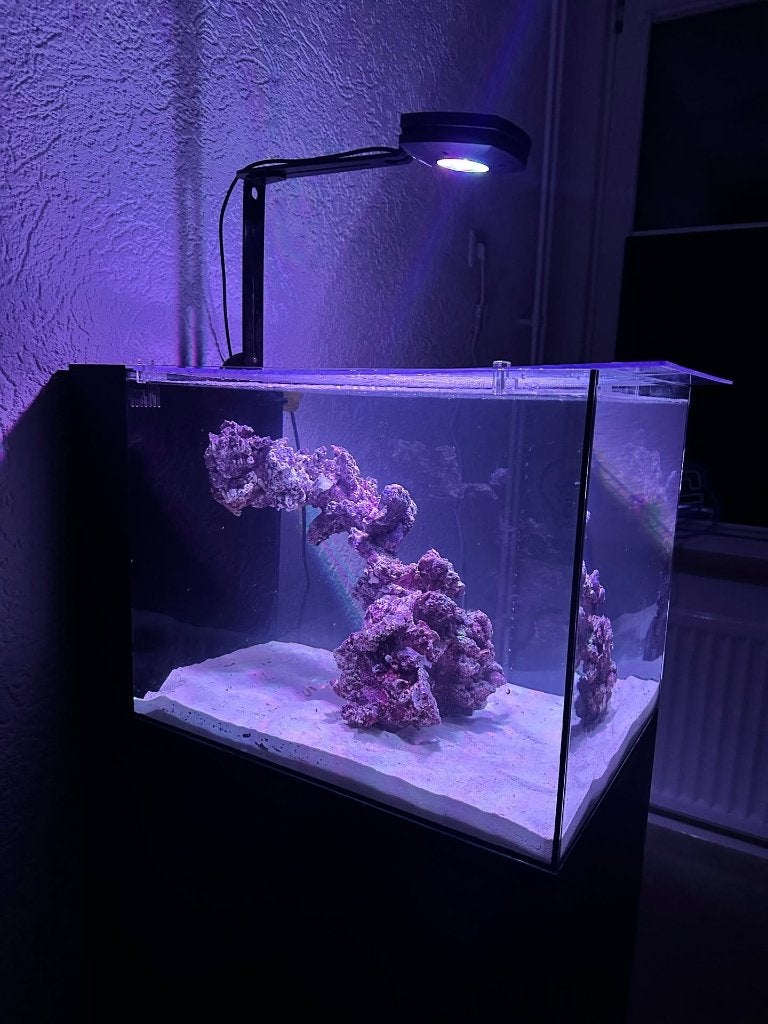 Waterbox Penisula 25 Zee aquarium, Ophalen, Gebruikt, Leeg aquarium