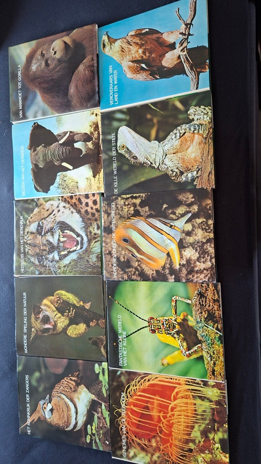 De Wonderlijke Natuur Encyclopedie - 10 Delen, Ophalen, Gelezen, Natuur algemeen, Onbekend